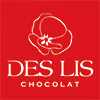 logo Ds Lis Chocolats